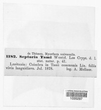 Image Associated With the Occurence